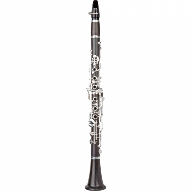ARNOLDS & SONS B-Klarinette ACL-206 "Terra"