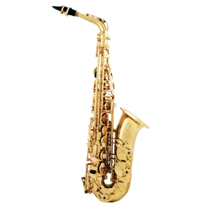 Alt Saxophon Messing Eb Sax Altsaxophon Saxofon mit Tragetasche Pflege Set B2J1 