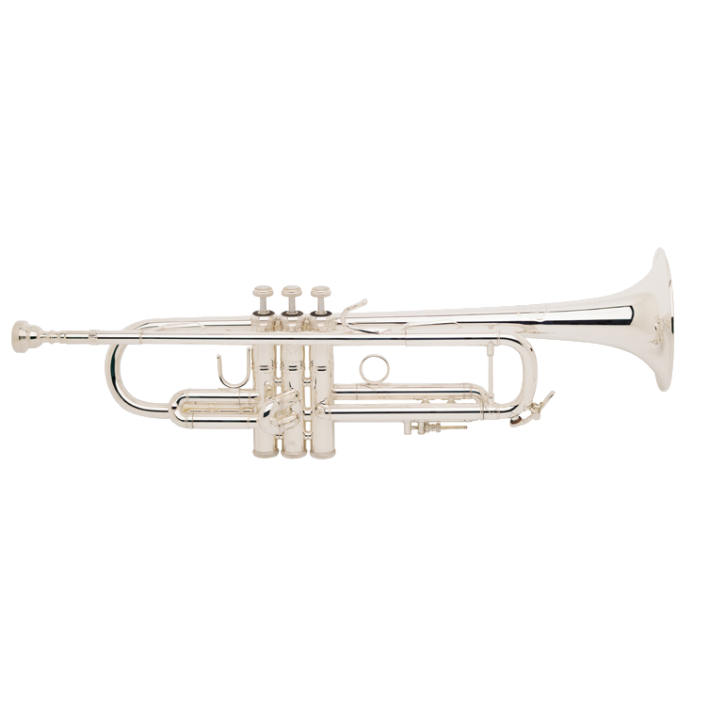 VINCENT BACH LR180S-43G Stradivarius B-Trompete
