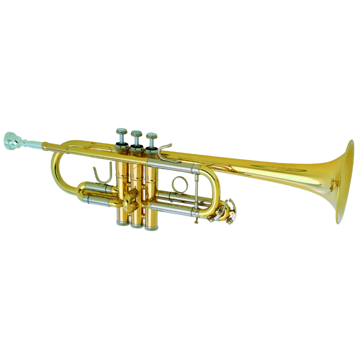 B&S C-Trompete 3136TC-L