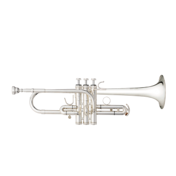 B&S Es/D-Trompete 3116/2-S