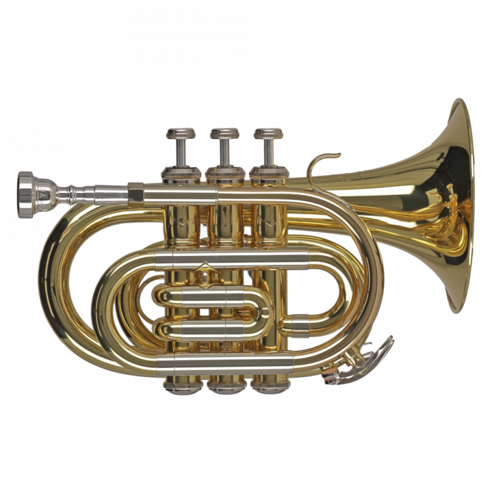 GEWA GERMANY Taschentrompete PT650 "Ambition"