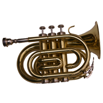 RRB TASCHEN-Trompete  506-4