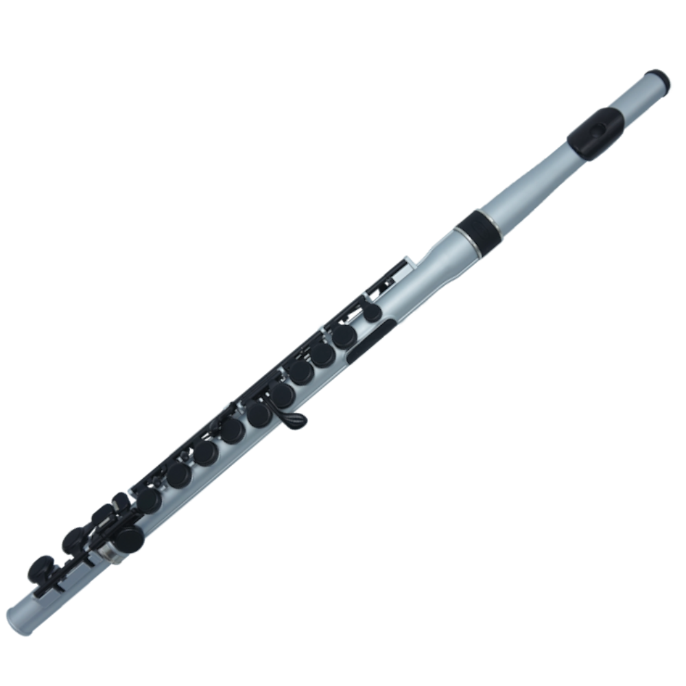 Флейта nuvo. Флейта Nuvo student Flute 2.0. Флейта Nuvo JFLUTE White Blue. Флейта Nuvo JFLUTE Black Black.