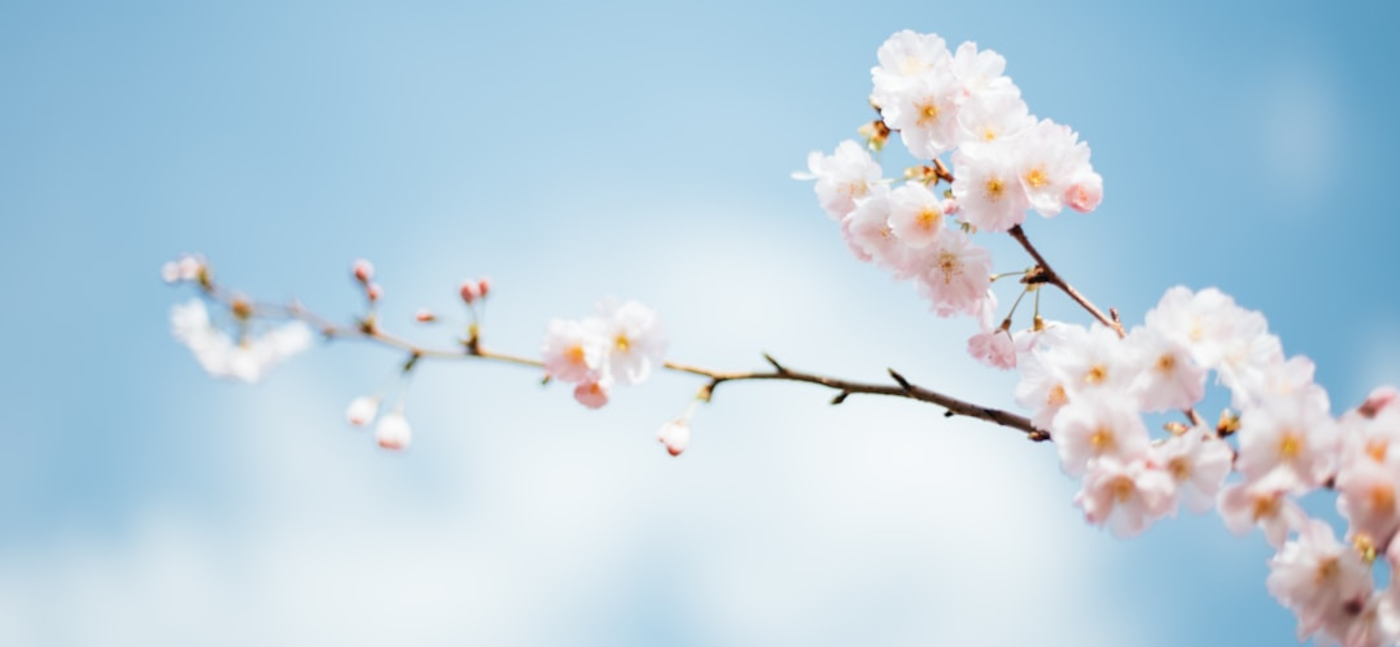 FRÜHJAHRSPUTZ 2026<br>vom 28.03. - 11.04.2026<br><br>Melden Sie JETZT Ihr Instrument für die Osterferien an! <br>Für Details hier klicken!