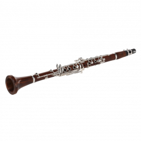 GEWA GERMANY Bb-Klarinette KS30PE K. Sandner "Vision"