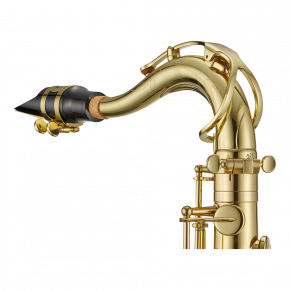 ANTIGUA Tenorsaxophon TS4248LQ-GH Klarlackiert