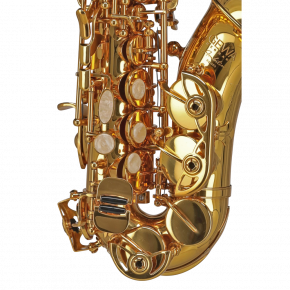 GEWA GERMANY Sopransaxophon, gebogen SC650 "Ambition"