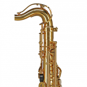 GEWA GERMANY Altsaxophon für Kinder AS655 "Ambition"