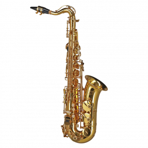 GEWA GERMANY Altsaxophon für Kinder AS655 "Ambition"