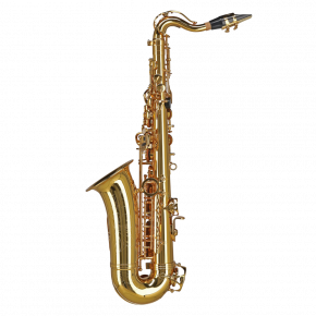 GEWA GERMANY Altsaxophon für Kinder AS655 "Ambition"