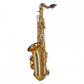 GEWA GERMANY Altsaxophon für Kinder AS655 "Ambition"
