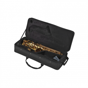 GEWA GERMANY Altsaxophon AS650 "Ambition"