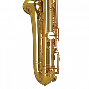 GEWA GERMANY Tenorsaxophon TS650 "Ambition"