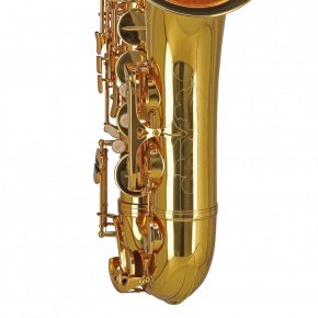 GEWA GERMANY Tenorsaxophon TS650 "Ambition"