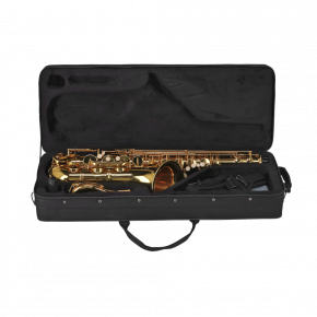 GEWA GERMANY Tenorsaxophon TS650 "Ambition"