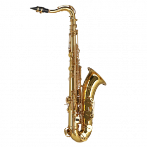 GEWA GERMANY Tenorsaxophon TS650 "Ambition"