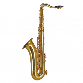 GEWA GERMANY Tenorsaxophon TS650 "Ambition"
