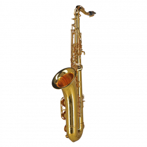 GEWA GERMANY Tenorsaxophon TS650 "Ambition"