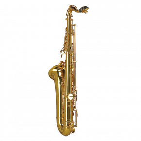 GEWA GERMANY Tenorsaxophon TS650 "Ambition"