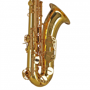 GEWA GERMANY Tenorsaxophon TS650 "Ambition"