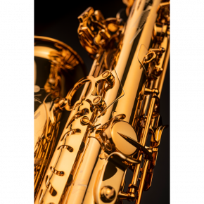 SELMER Altsaxophon Signature Goldlack