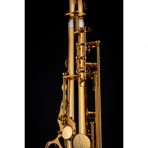 SELMER Tenorsaxophon Signature Goldlack