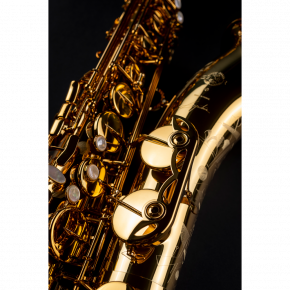 SELMER Tenorsaxophon Signature Goldlack