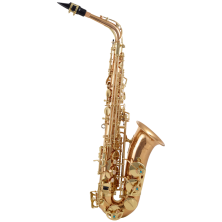 YANAGISAWA Altsaxophon A-WO2 Professional