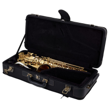 YANAGISAWA Altsaxophon A-WO30 Elite