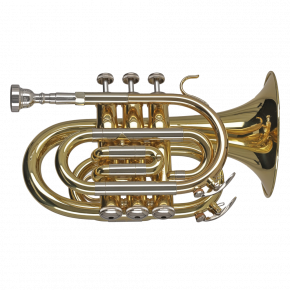 GEWA GERMANY Taschentrompete PT650 "Ambition"