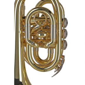 GEWA GERMANY Taschentrompete PT650 "Ambition"