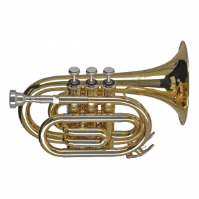 GEWA GERMANY Taschentrompete PT650 "Ambition"
