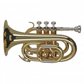 GEWA GERMANY Taschentrompete PT650 "Ambition"