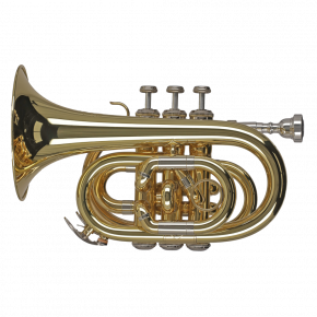 GEWA GERMANY Taschentrompete PT650 "Ambition"