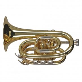 GEWA GERMANY Taschentrompete PT650 "Ambition"