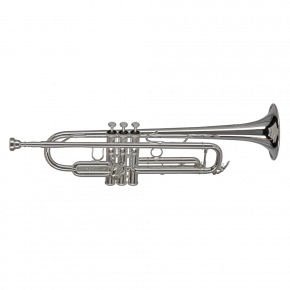 GEWA GERMANY Bb-Trompete TR172S "Vision"