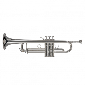 GEWA GERMANY Bb-Trompete TR272S "Vision"