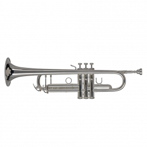 GEWA GERMANY Bb-Trompete TR372S "Vision"