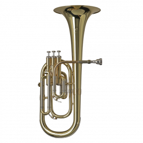 GEWA GERMANY Eb-Althorn AH650 "Ambition"