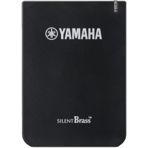 YAMAHA STX-2 Personal Studio-988720